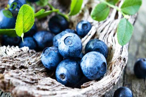 Mẹ bầu ăn việt quất mỗi ngày tốt như thế nào?