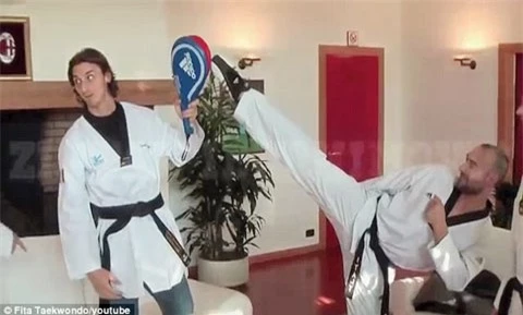 Wormhoudt coi trường hợp Ibra tập thêm taekwondo là tấm gương các cầu thủ nên tham khảo