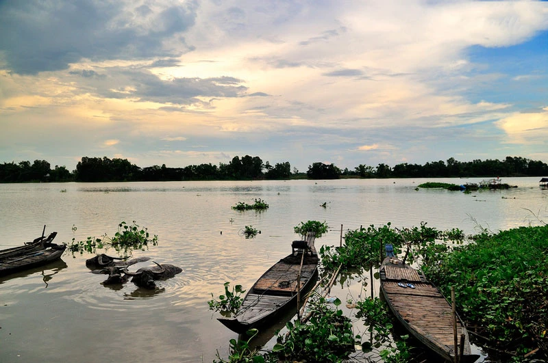 Cách Búng Bình Thiên khoảng vài trăm mét là tới làng của người Chăm với nhiều nét sinh hoạt văn hóa rất riêng và đặc sắc. Ảnh: Diem Dang Dung.