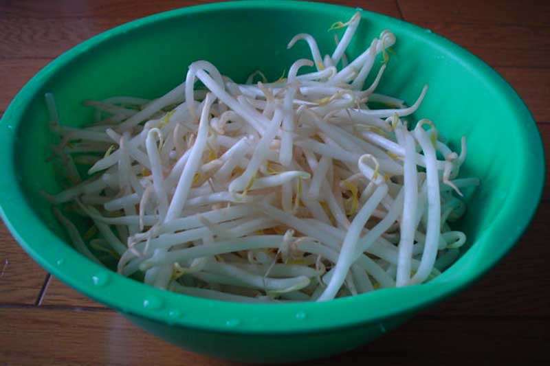 Thấy giá đỗ có dấu hiệu này thì tuyệt đối đừng mua kẻo 'ngậm' đầy thuốc sâu