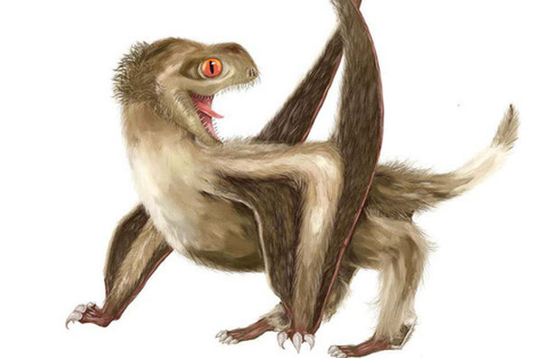 Nguồn gốc của lông vũ có thể sớm hơn những gì chúng ta vẫn biết và cũng không liên quan gì đến việc bay