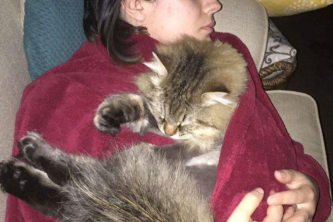 Mèo cưng thay đổi chóng mặt, cô chủ bất ngờ khi phát hiện ra lý do đặc biệt