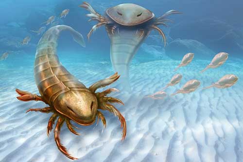 Dấu vết tồn tại của loài ‘quái vật biển’ khổng lồ