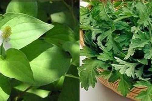 2 loại rau bán rẻ bèo ở chợ lại là vị thuốc quý giúp điều hòa kinh nguyệt