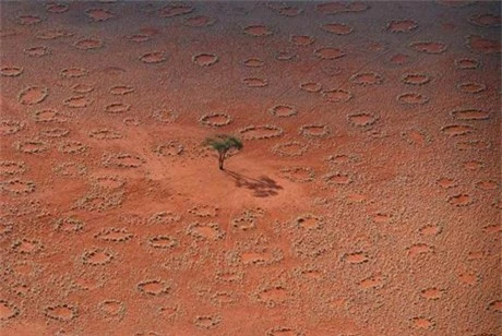 Hiện tượng bí ẩn về những hình tròn lạ kỳ trên sa mạc Namib