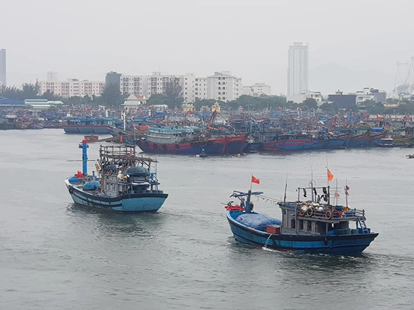 tàu cá của ngue dân Đà Nẵng chạy vào Âu thuyền cảng cá Thọ Quang tránh trú mưa lũ, bão, áp thấp nhiệt đới
