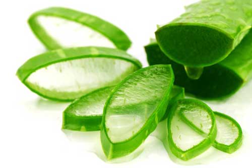 Nha đam cực tốt nhưng dùng sai cách sẽ gây ngộ độc, chớ dại làm theo