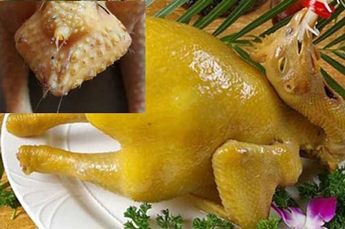 Có thể mắc bệnh ung thư chỉ vì 'khoái khẩu' món phao câu gà