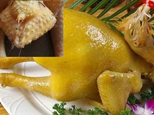 Có thể mắc bệnh ung thư chỉ vì 'khoái khẩu' món phao câu gà