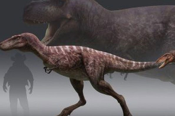 Cuộc đời của khủng long bạo chúa được chia thành 21 giai đoạn, hai trong số đó cực kỳ quan trọng và giúp chúng trở nên to lớn