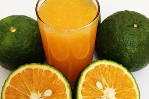 Bí quyết chọn cam sành ngon mọng nước ai cũng mê