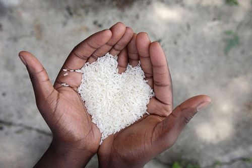 3 loại gạo có cho tiền cũng nhất định đừng mua kẻo vừa tốn tiền lại mắc ung thư