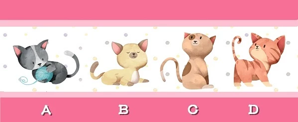 Bạn chọn chú mèo nào?