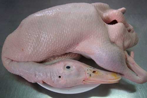 Mẹo hay giúp nhổ lông vịt và làm sạch vịt nhanh nhất