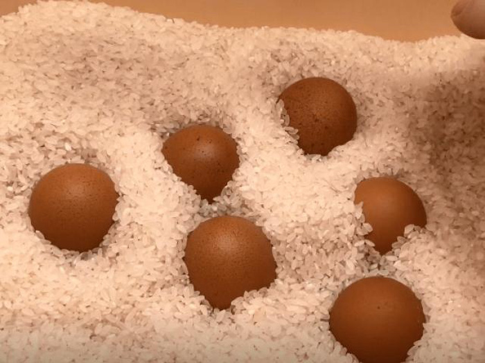 Con dâu nhét trứng vào thùng gạo, mẹ chồng khó hiểu, hỏi ra mới vỡ lẽ