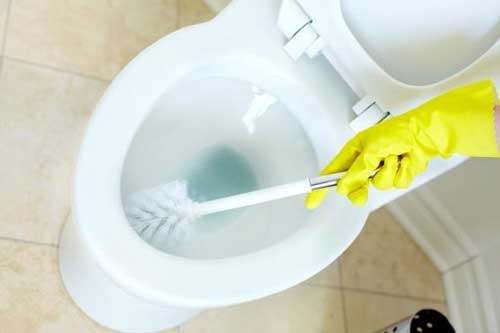 Đổ giấm vào bồn cầu bạn sẽ thấy điều kỳ diệu xảy ra