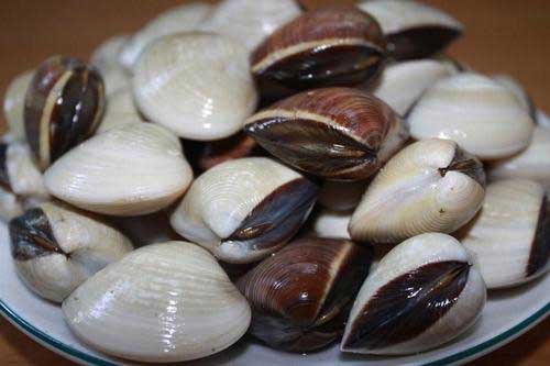 Mẹo làm sạch nghêu, sò, ốc, hến cực đơn giản và hiệu quả