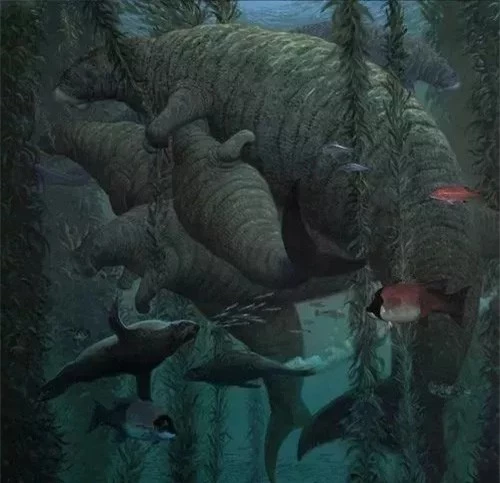 Chỉ mất 27 năm từ khi phát hiện ra đến khi tuyệt chủng, chuyện gì đã xảy ra với con vật khổng lồ dưới biển này? - Ảnh 15.
