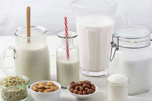 Sữa bò, sữa đậu nành, sữa yến mạch, sữa gạo - loại nào tốt nhất cho sức khỏe