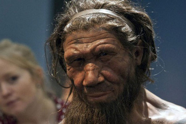 Con người từng có khả năng tái sinh cơ thể, nhưng đã bị 'tắt đi' trong quá trình tiến hóa