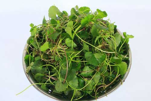 Rau má và những người tuyệt đối không nên ăn