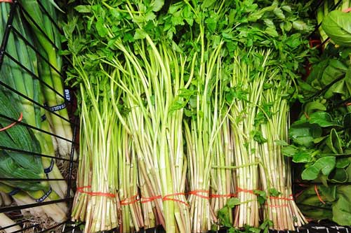 Những lưu ý khi ăn rau cần kẻo hối không kịp