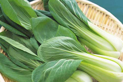 Nếu mắc các bệnh này tuyệt đối không nên ăn rau cải