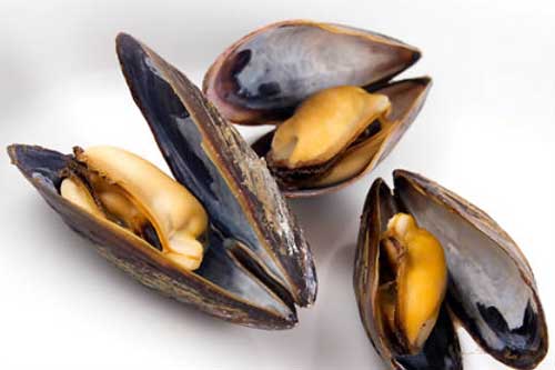 Phụ nữ có thai không nên ăn quá nhiều trai, hến