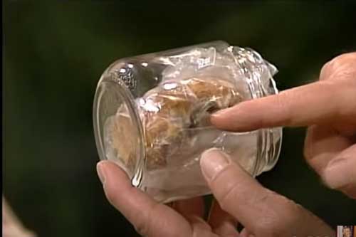 60 năm giữ miếng bánh mì tổng thống Mỹ cắn dở