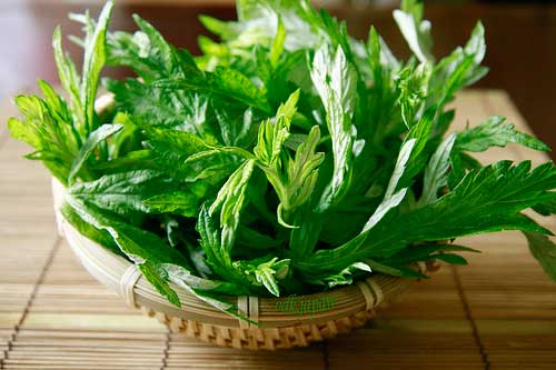 Những người không nên ăn ngải cứu