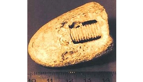 Hóa thạch cổ đại mang dáng dấp hình ốc vít ẩn mình trong khối đá - dấu hiệu xuất hiện của người ngoài hành tinh