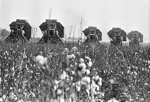 Máy liên hợp thu hoạch bông ở Uzbekistan, năm 1973. Máy liên hợp thu hoạch bông ở Uzbekistan, năm 1973.
