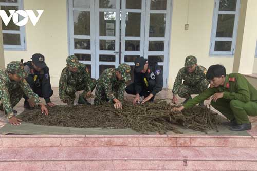 An Giang: Vứt lại 12kg cần sa rồi nhảy xuống sông tẩu thoát