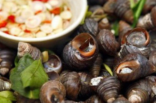 4 sai lầm nghiêm trọng khi ăn ốc gây đau bụng, rước ký sinh trùng vào người