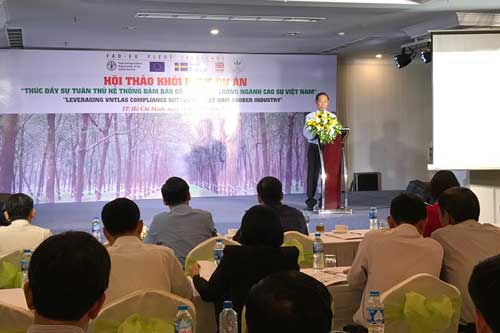 Thúc đẩy gỗ hợp pháp trong ngành cao su