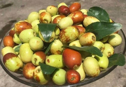 Đắt gấp đôi hàng Mỹ, táo Tàu tươi "hút khách" săn lùng