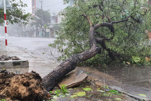 Bão số 13 có hoàn lưu rộng, gây gió mạnh, mưa lớn trên diện rộng