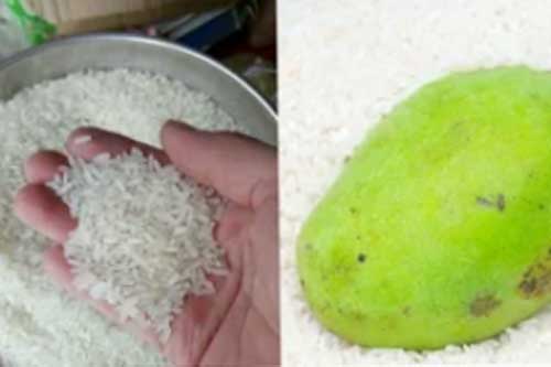 5 mẹo vặt "lạ lùng" từ gạo nhưng cực kỳ hữu ích, đặc biệt là số 4