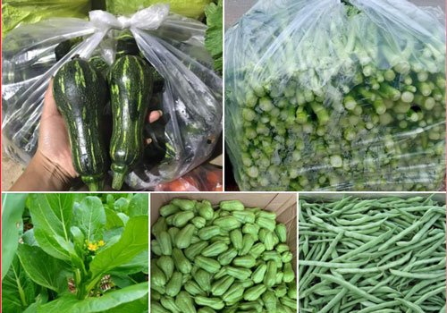 Bỏ việc về bán hàng online, mẹ bỉm sữa tậu 2 mảnh đất Hà Nội sau 5 năm