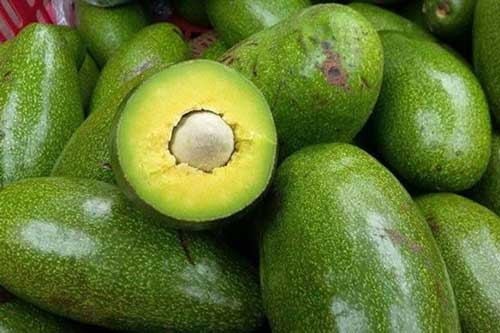 Bà nội trợ thông thái nhìn vào điểm này trên quả bơ biết ngay ngon hay dở