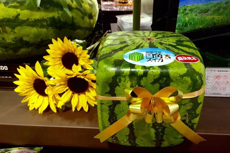 "Điểm danh" những loại quả đắt nhất thế giới, có quả đắt bằng cả chiếc oto