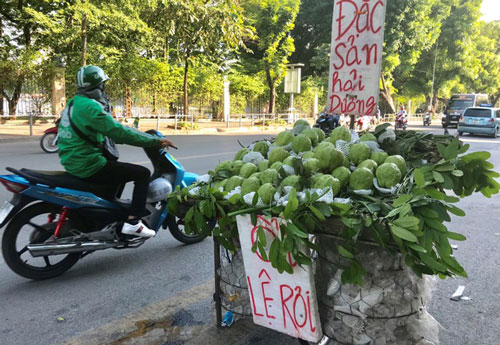 Ổi khổng lồ nặng 1,5 kg gắn mác “Lệ Rơi” hút khách Hà Nội