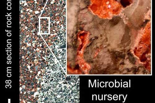 Sinh vật 4 tỉ năm trước 'hồi sinh' nơi tiểu hành tinh đâm vào Trái Đất