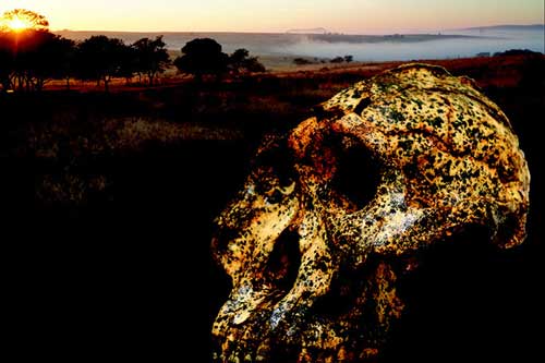 Hài cốt 2 triệu năm tiết lộ sự 'biến hình' gây sốc của con người