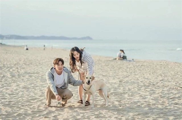 Ji Chang Wook và Kim Ji Won tình tứ trong dự án phim mới - Ảnh 2.