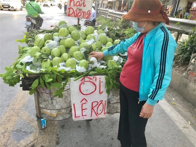 Lạ lùng ổi khổng lồ nặng 1,5kg gắn mác “Lệ Rơi” hút khách Hà Nội - 3