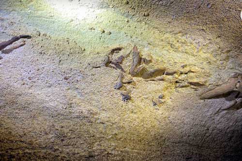 Hãi hùng trước 40 loài thủy quái bị niêm phong trong vách đá