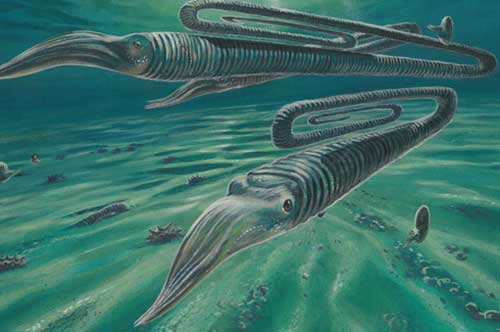 Hãi hùng trước "quái vật" 68 triệu tuổi hình… kẹp giấy, to bằng con người