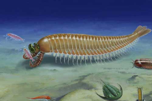 Khai quật "quái vật 5 mắt" 518 triệu tuổi, vẫn còn nguyên vẹn