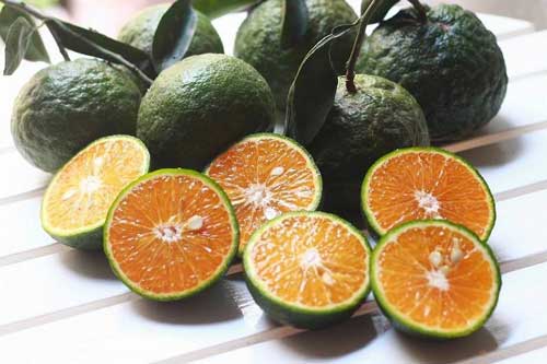 Ăn cam rất bổ nhưng có 5 trường hợp không nên động vào, đặc biệt là số 3